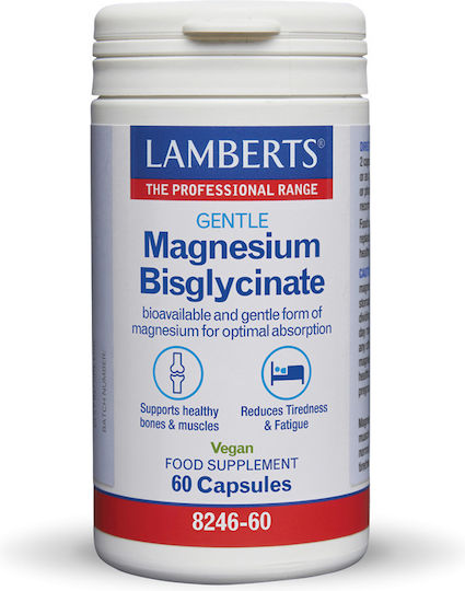 xlarge_20260123104410_lamberts_gentle_magnesium_bisglycinate_150mg_60_kapsoules Lamberts Gentle Magnesium Bisglycinate 150mg 60 κάψουλες - Image 1