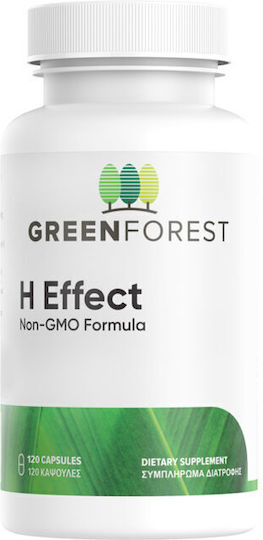 xlarge_20250304143035_green_forest_h_effect_eidiko_sympliroma_diatrofis_120_kapsoules Green Forest H Effect 120 Κάψουλες - Image 1